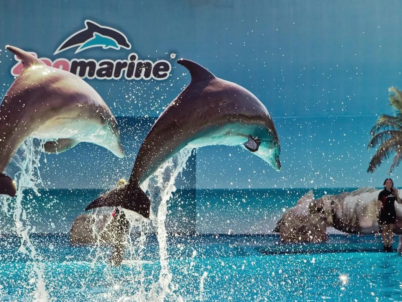 Große Wohnung in Carvoeiro mit Möblierter Terrasse - Buiten