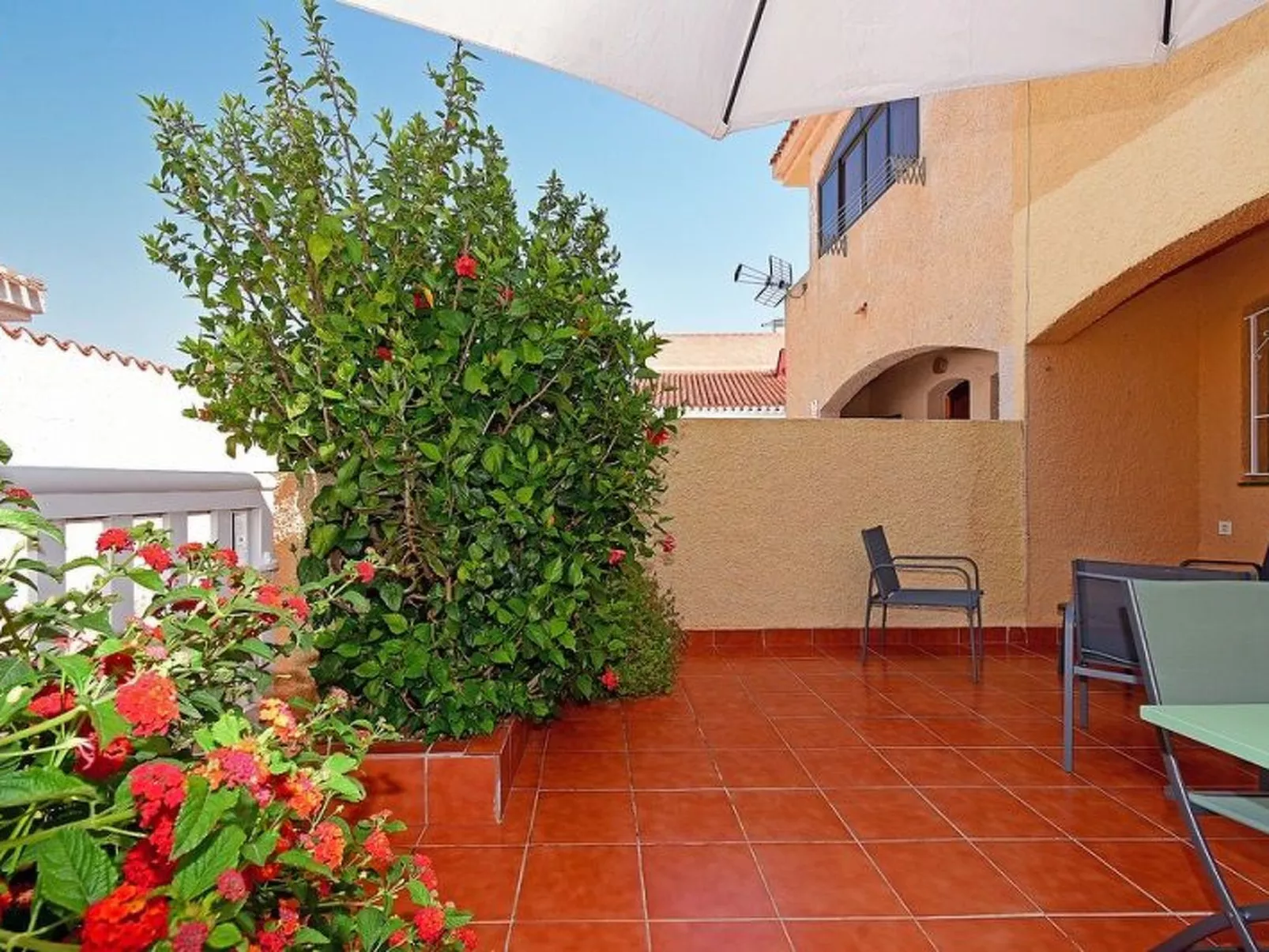 Violeta 17 - Image-tags.info