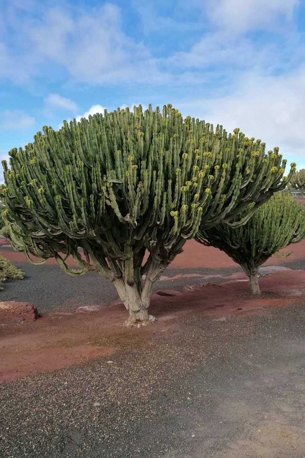 Mit Whirlpool - Buiten