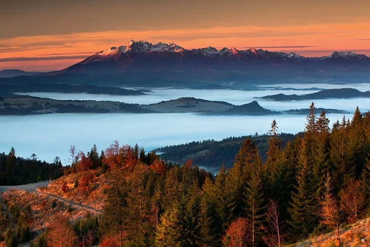 Dom wakacyjny dla 8 osób w Piwnicznej Zdroju - Uitzicht zomer