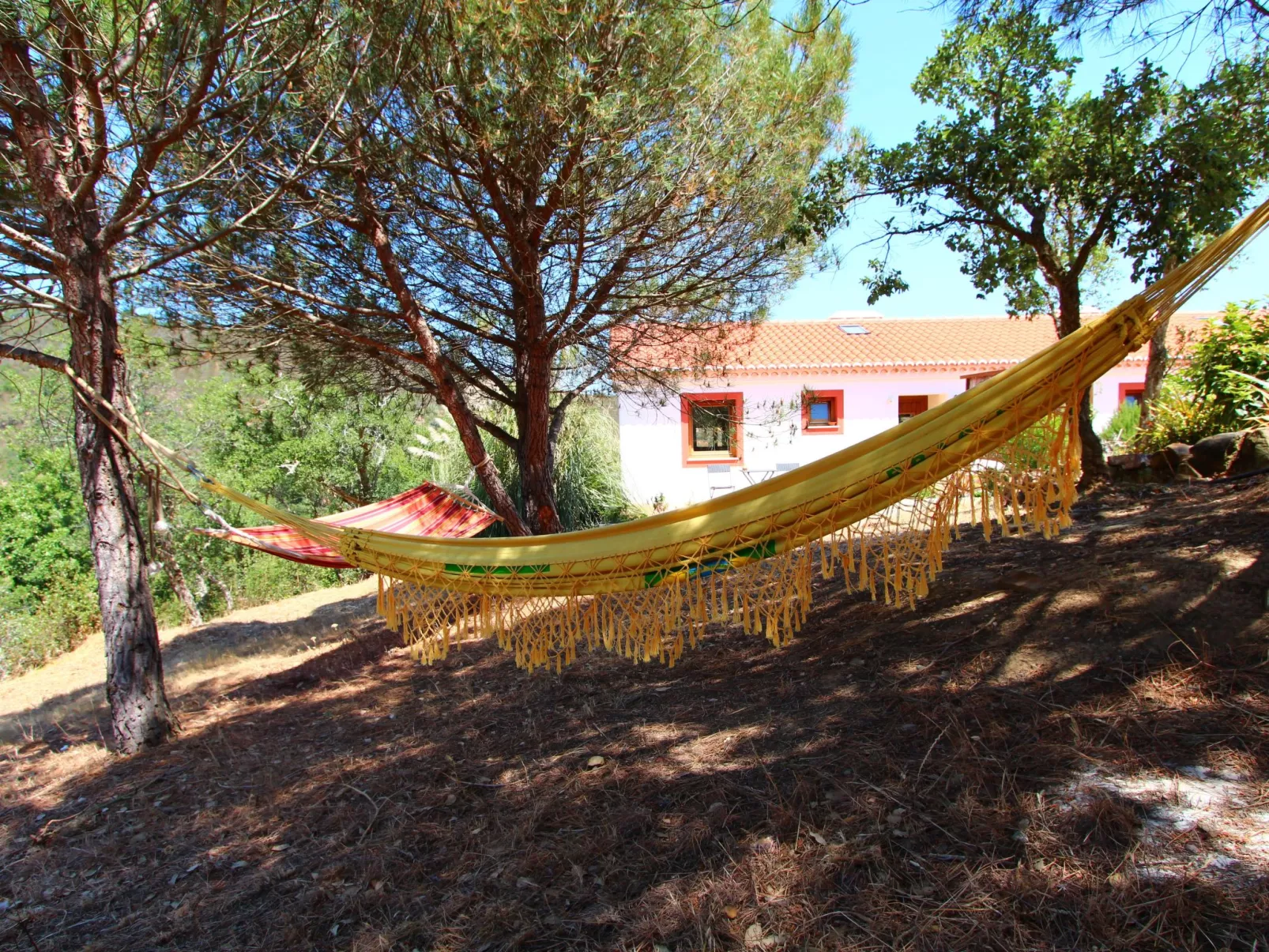 "The Natural Elements" - Buiten