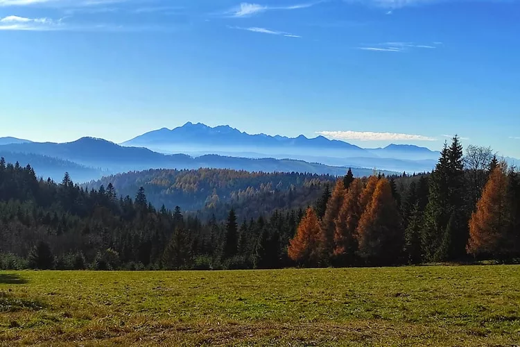 Dom wakacyjny dla 8 osób w Piwnicznej Zdroju - Uitzicht zomer