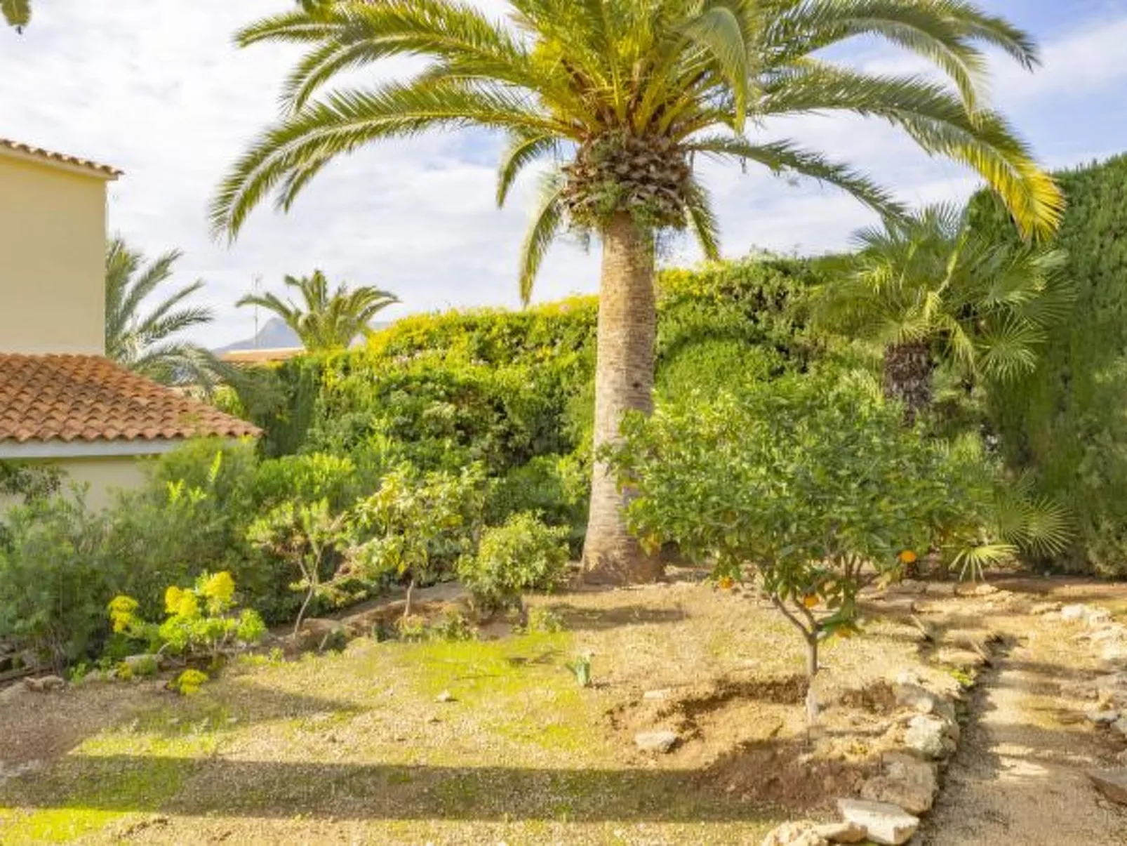 Villa Carola - PlusHolidays - Image-tags.info