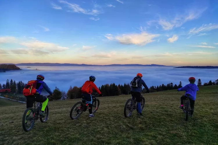 Dom wakacyjny dla 8 osób w Piwnicznej Zdroju - Gebieden zomer 1km
