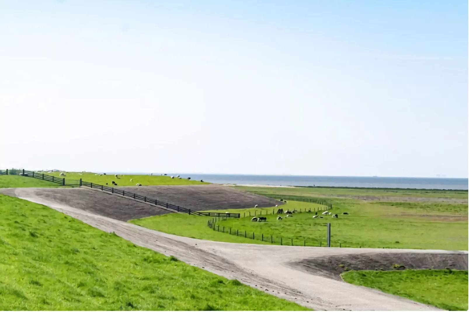 Wad'n Leven Festijn en Geluk-Gebieden zomer 5km