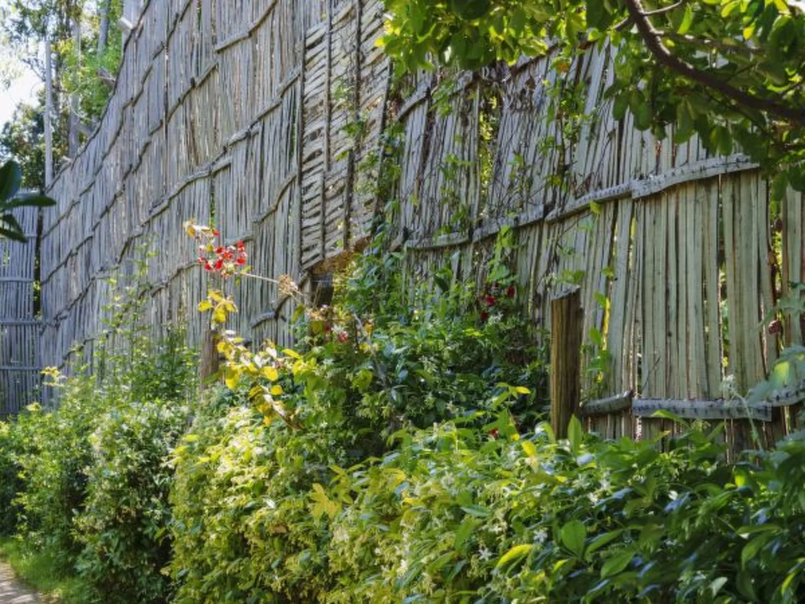 Il terrazzino di Villa Preziosa al Pizzo - Image-tags.info