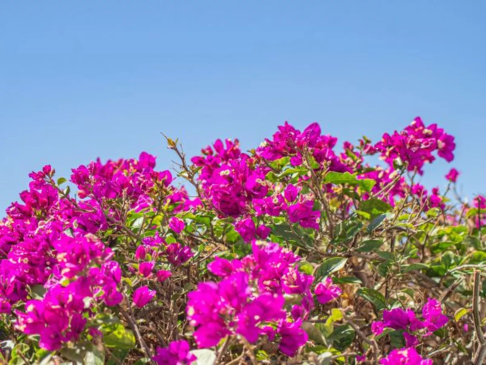 Villa Catrina - Plusholidays - Image-tags.info