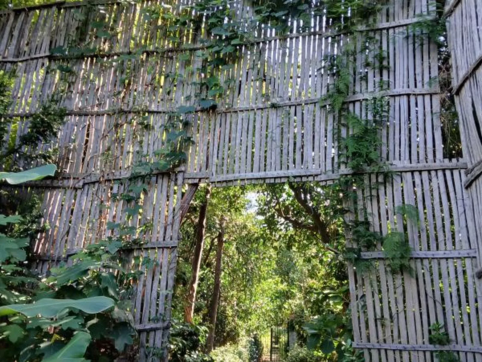 Il terrazzino di Villa Preziosa al Pizzo - Image-tags.info