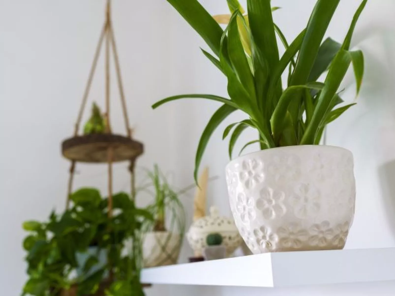 My  Home Sorrento - Image-tags.info