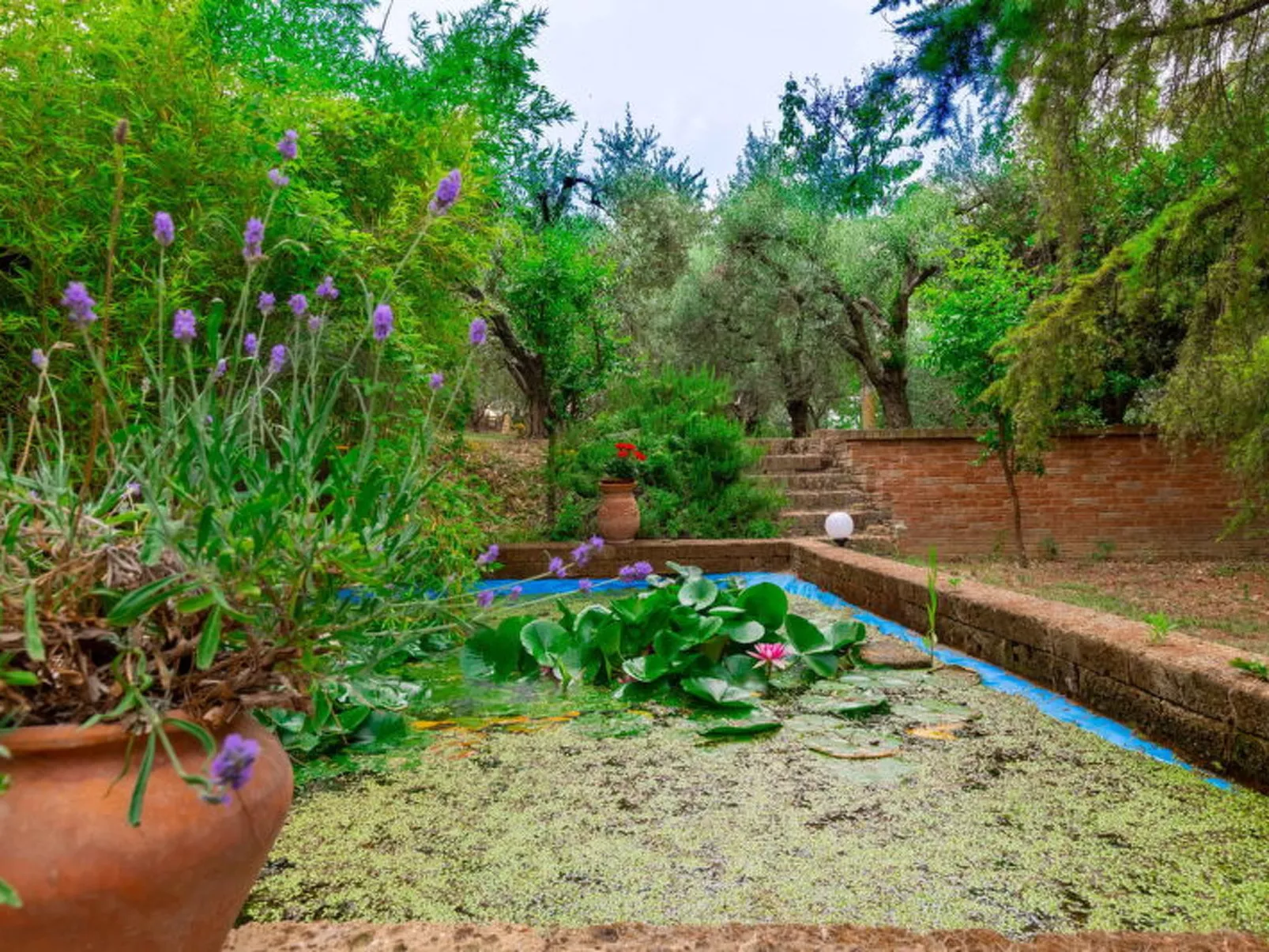 Villa Rosso Corbezzolo - Buiten