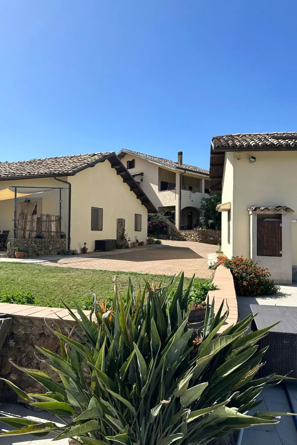 Tolles Reihenhaus im Olivenhain - Buiten