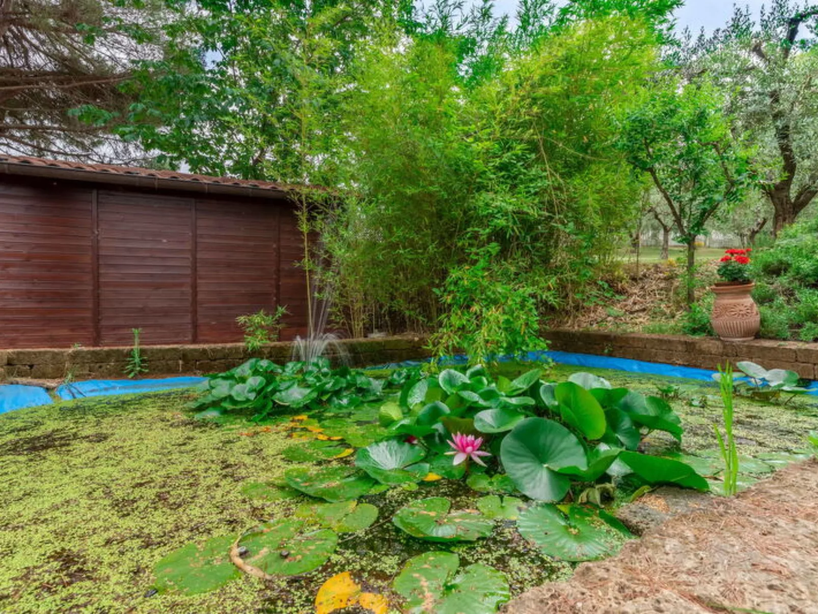 Villa Rosso Corbezzolo - Buiten