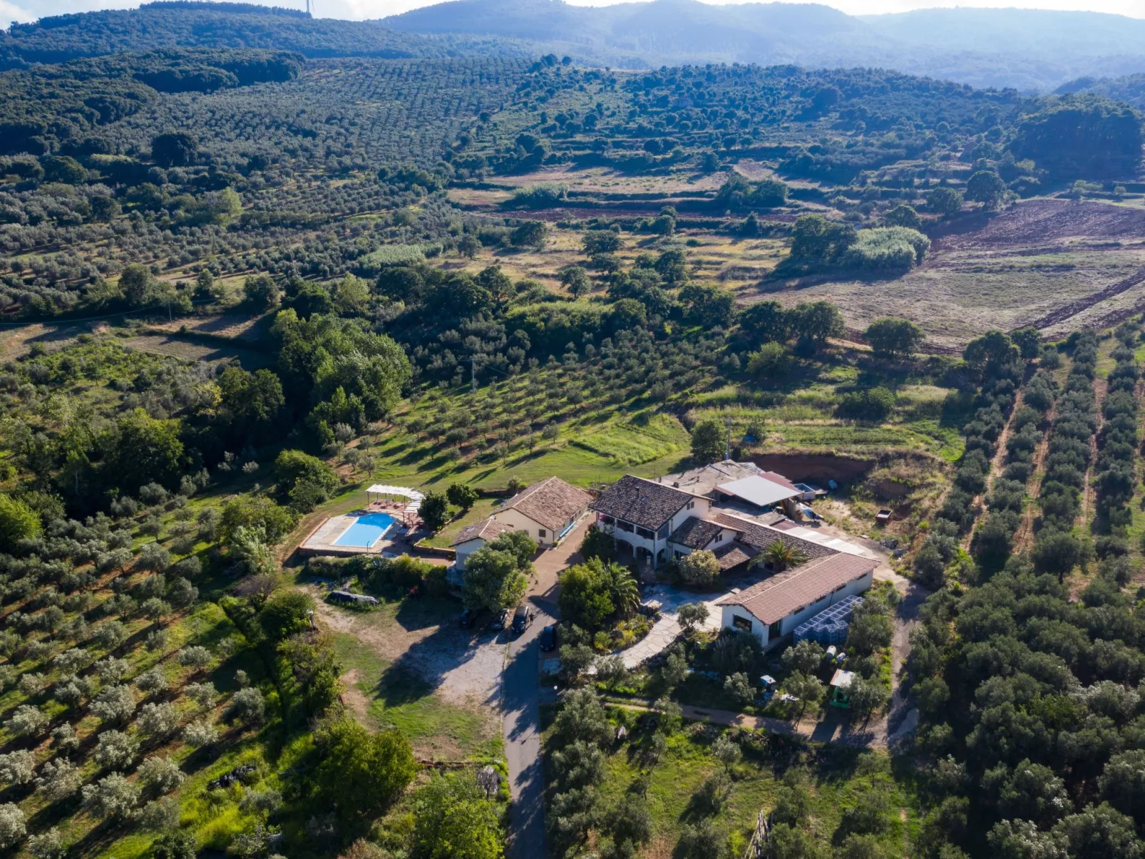 Tolles Reihenhaus im Olivenhain - Buiten