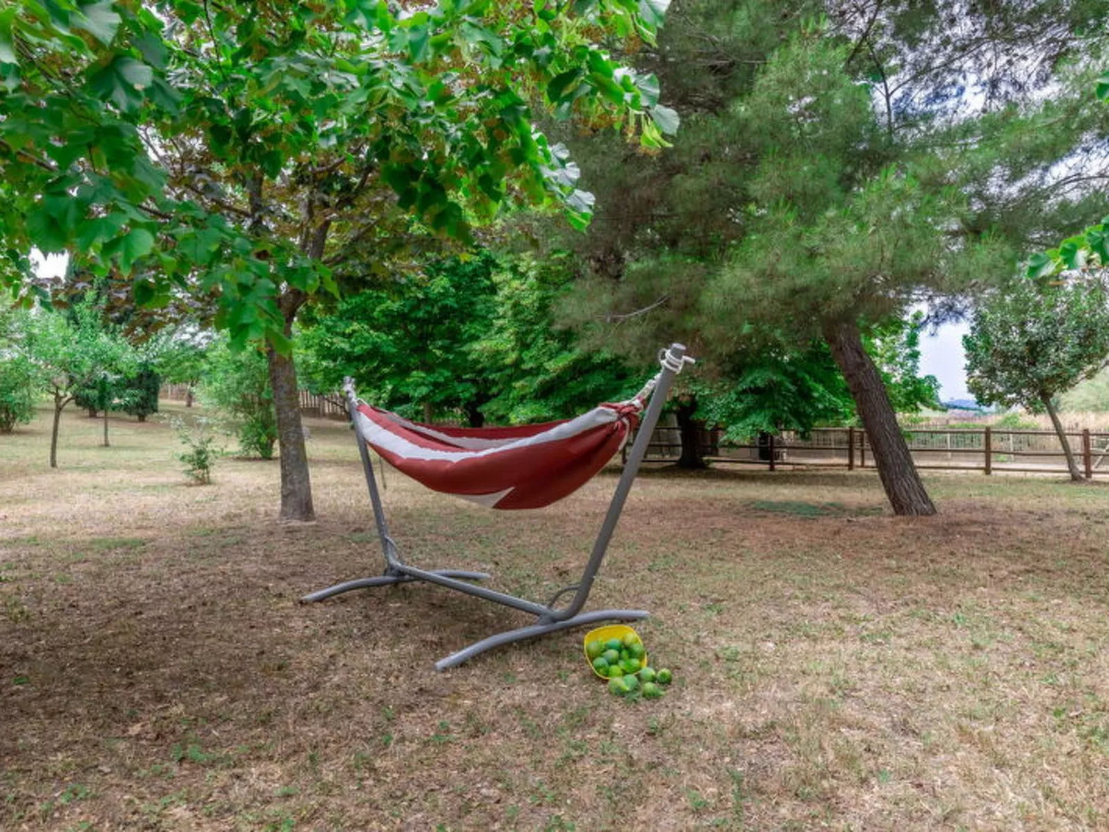 Villa Rosso Corbezzolo - Buiten