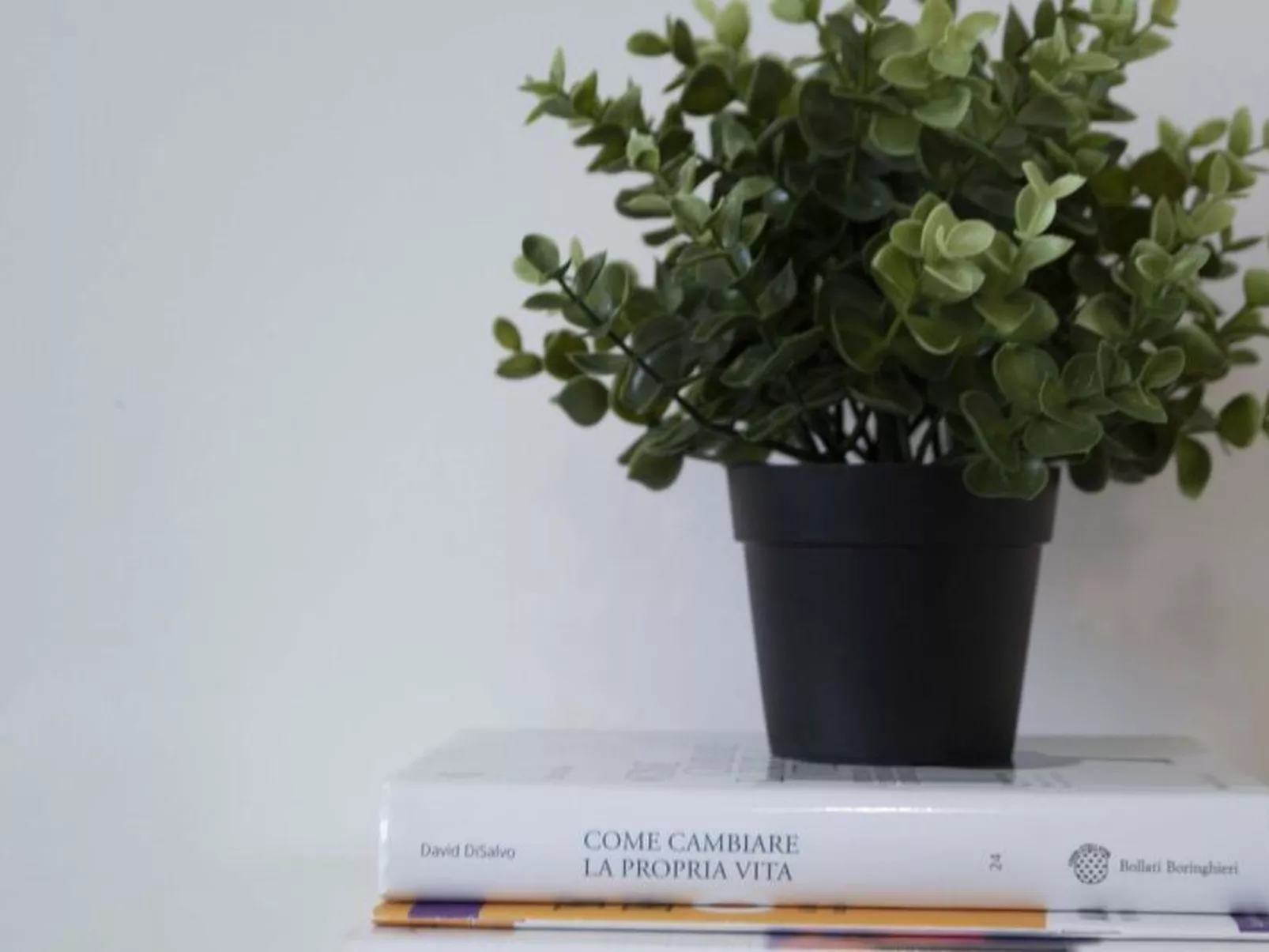 Novoli Suite Apartment - Binnen