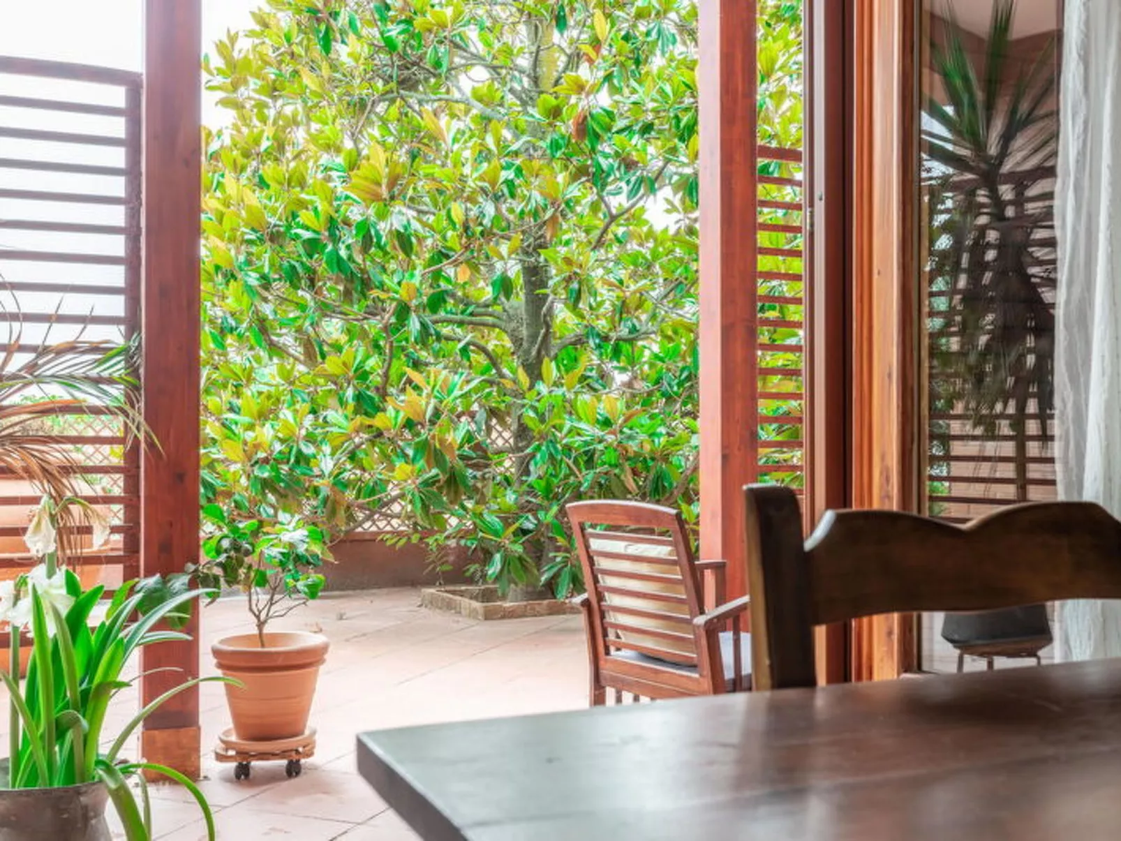 Villa Rosso Corbezzolo - Binnen