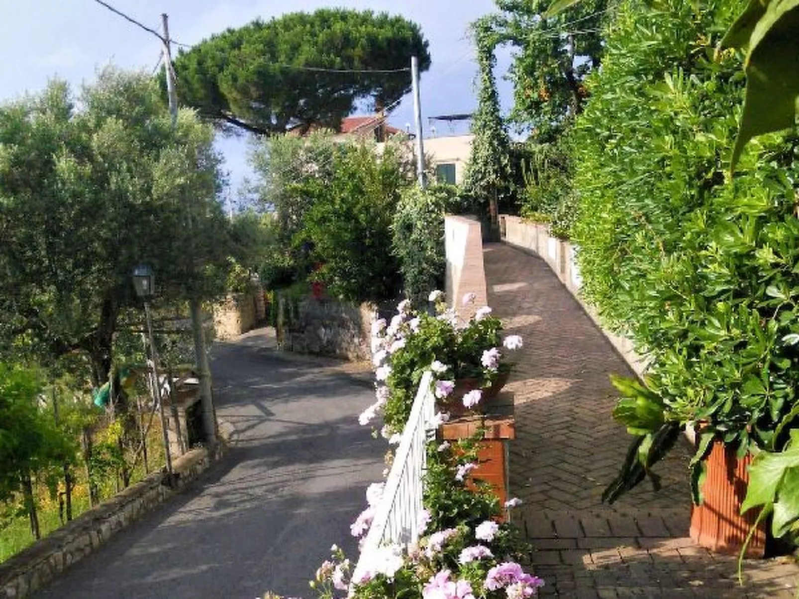 Villa le Olivine Less then 5 min to Sorrento - Image-tags.info