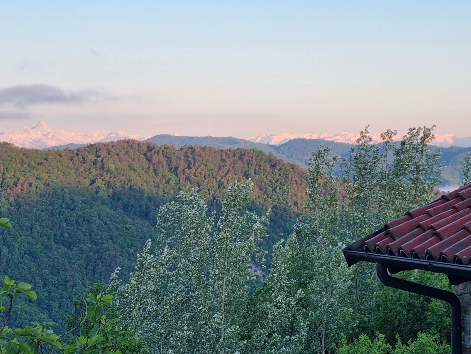 Rustikales und charmantes Doppelzimmer "Olmo Gentile" - Buiten