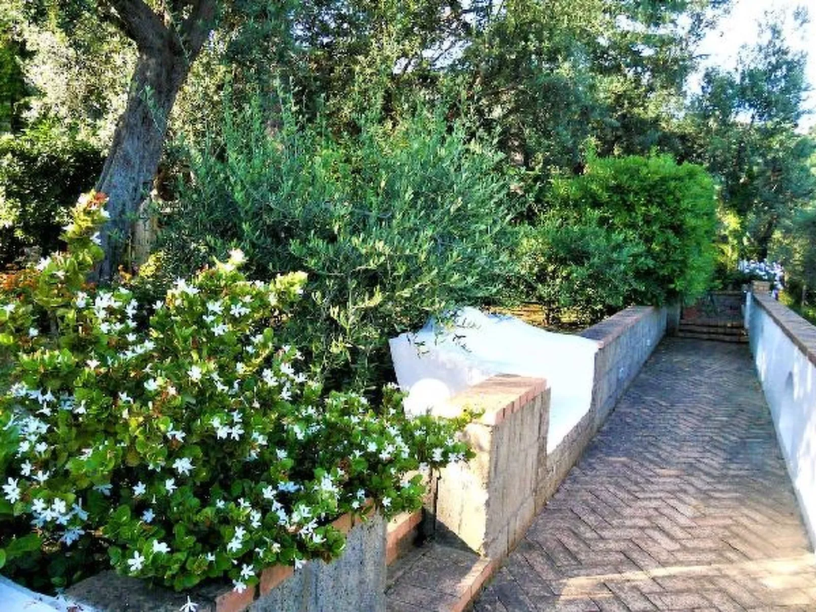 Villa le Olivine Less then 5 min to Sorrento - Image-tags.info