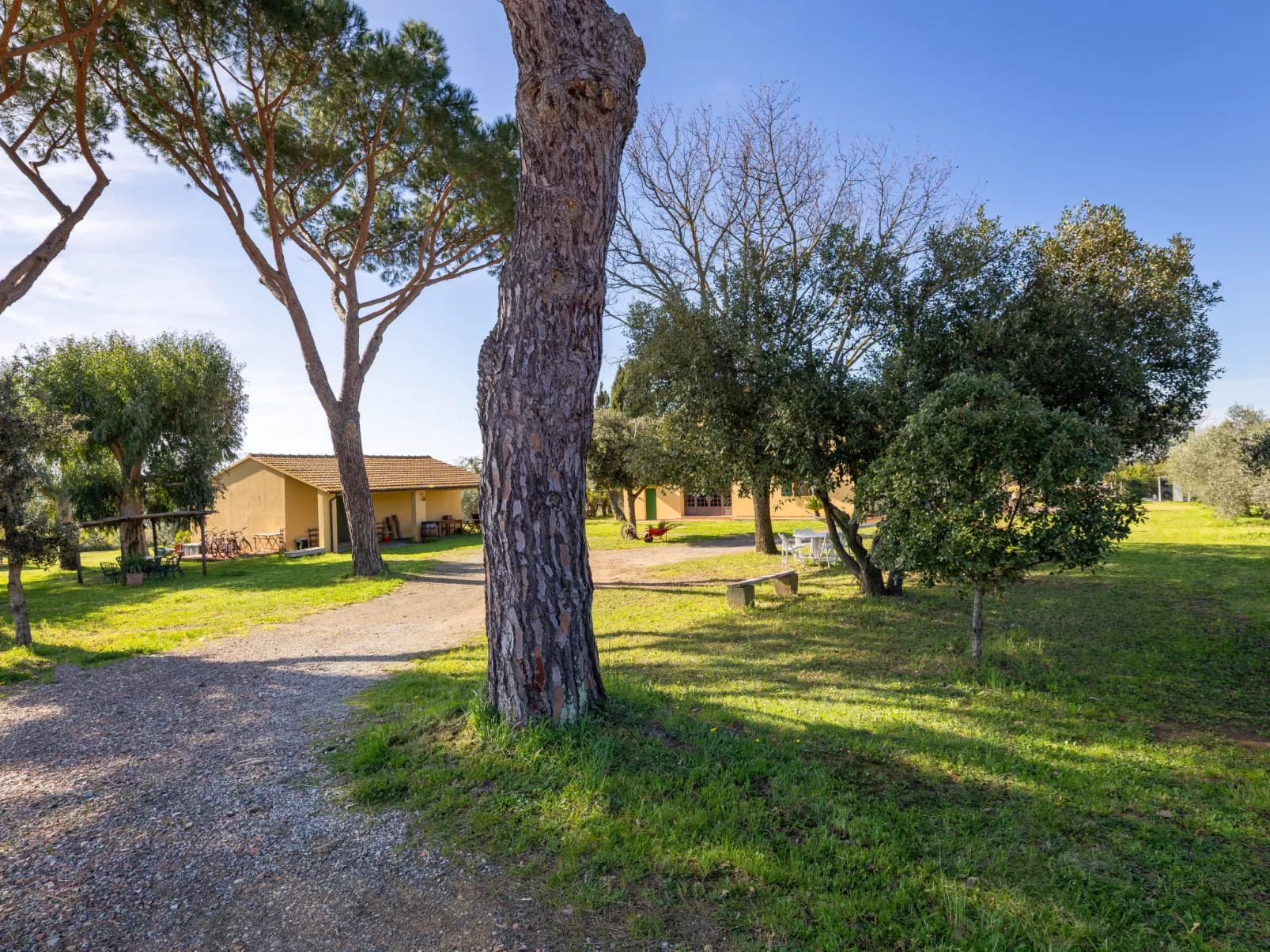 La casa del Prime - Buiten