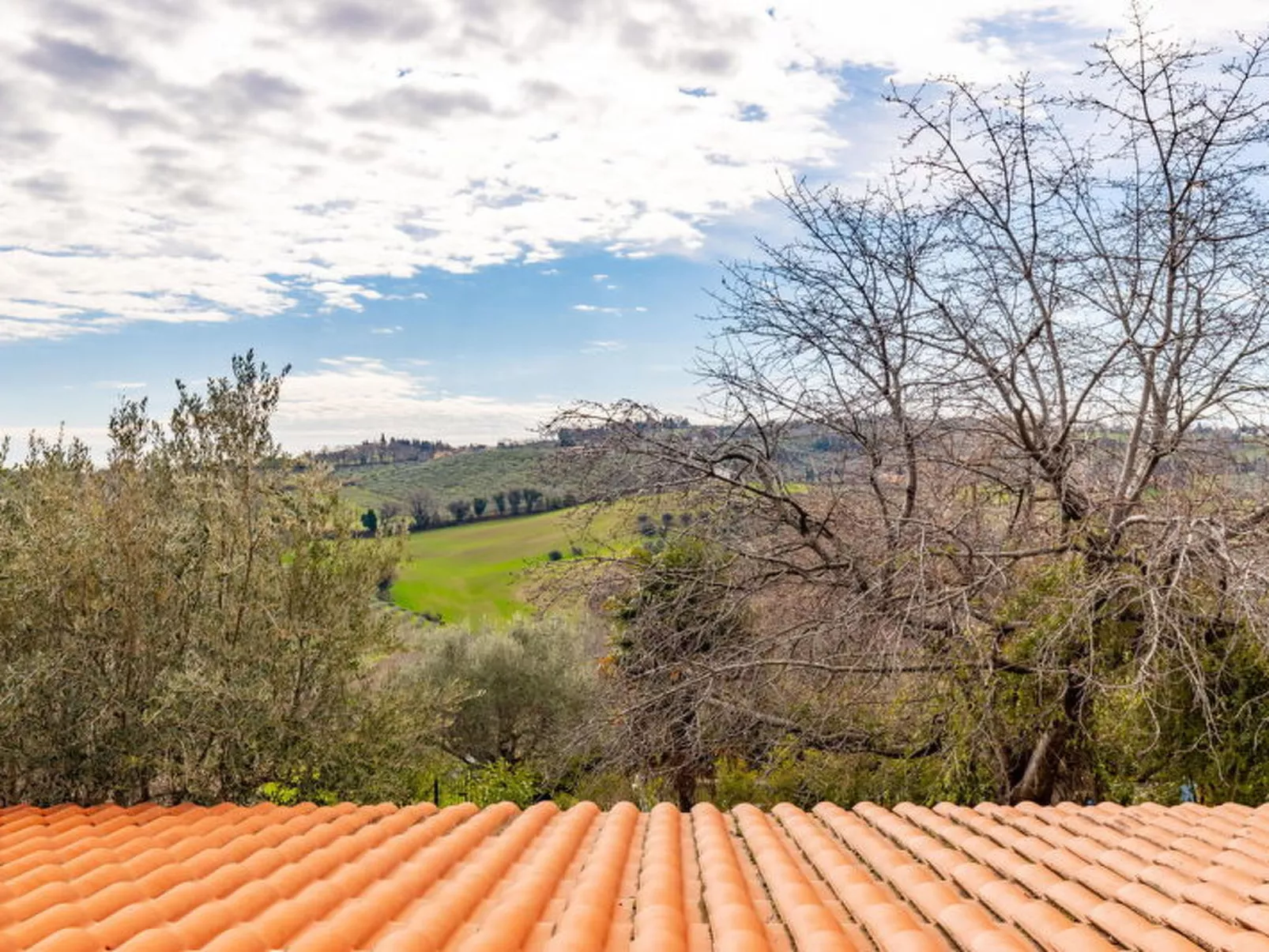 Villa La Pagliarina - Buiten