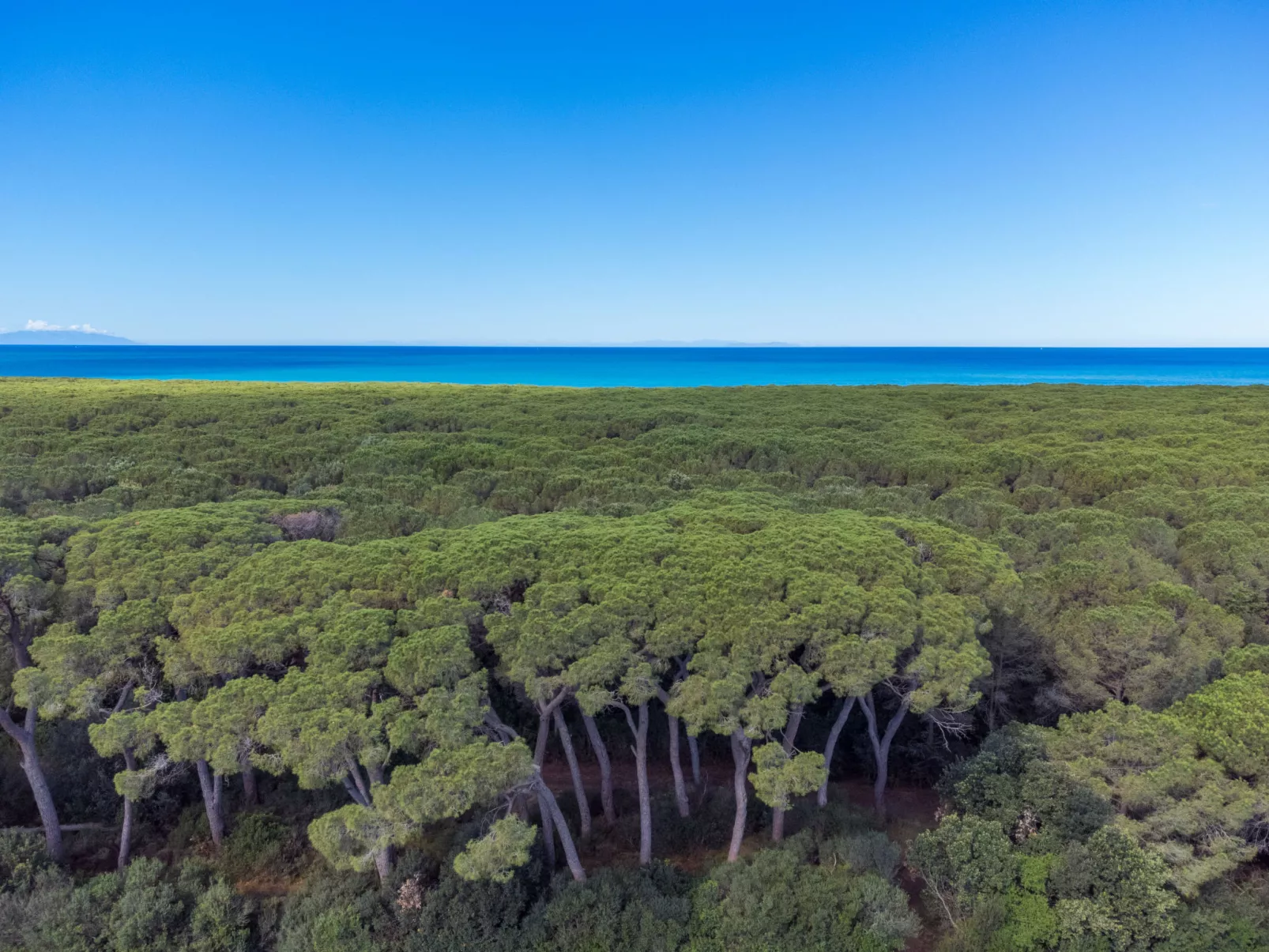 La casa del Prime - Omgeving