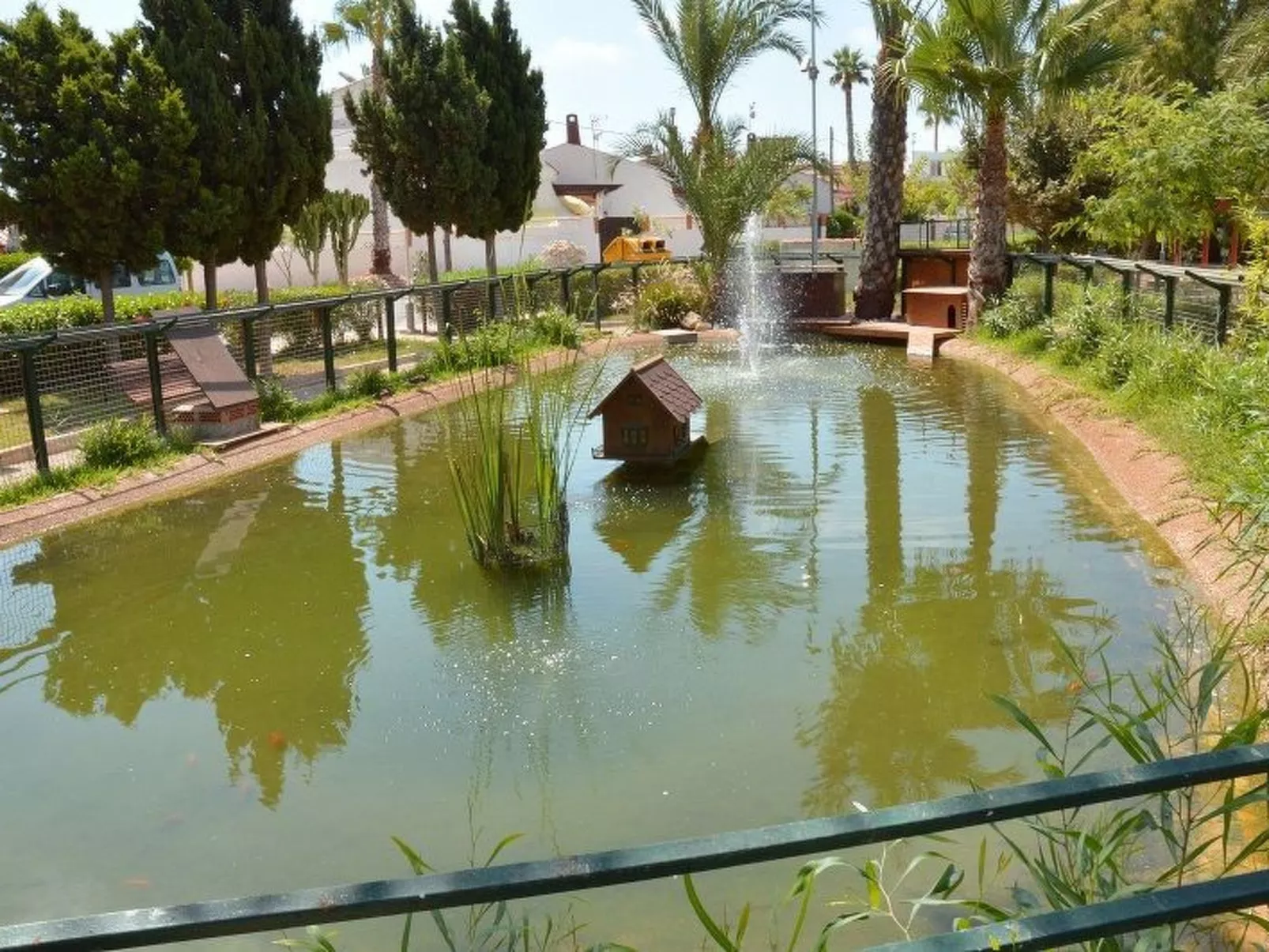 Violeta 17 - Image-tags.info