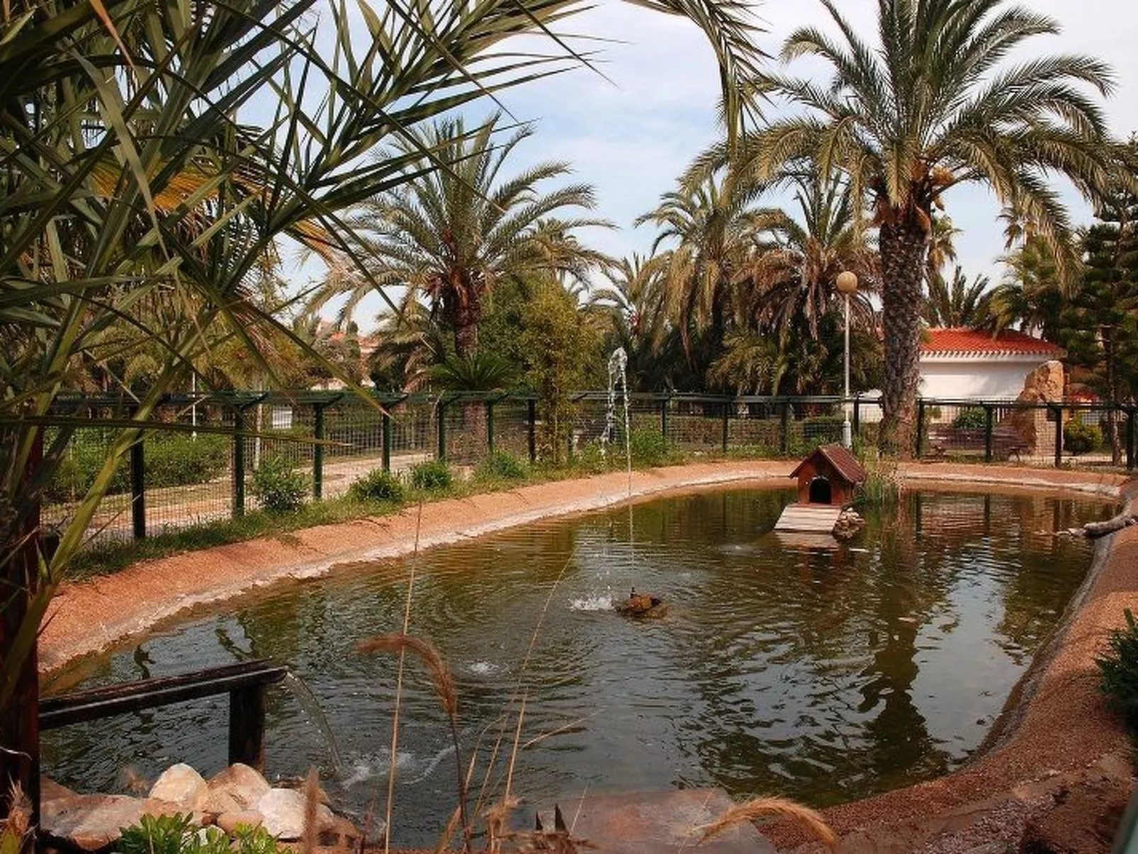 Violeta 17 - Image-tags.info