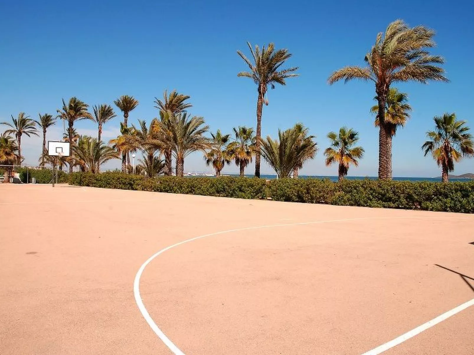 Violeta 17 - Image-tags.info