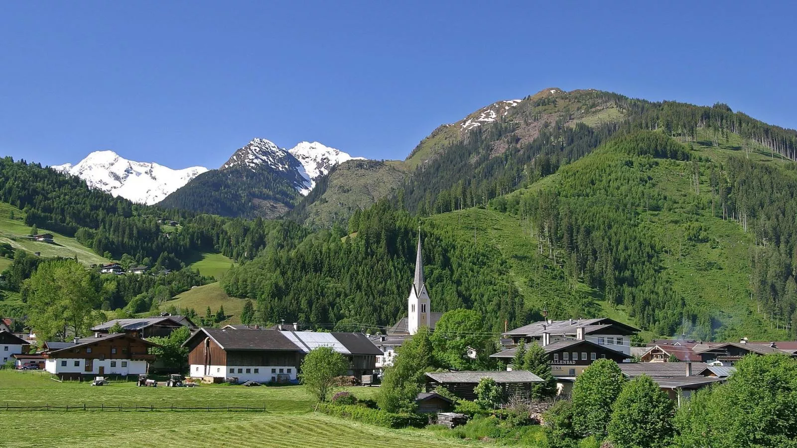 Reitlehen - Gebieden zomer 5km