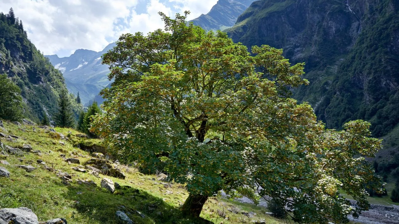 Reitlehen - Gebieden zomer 20km