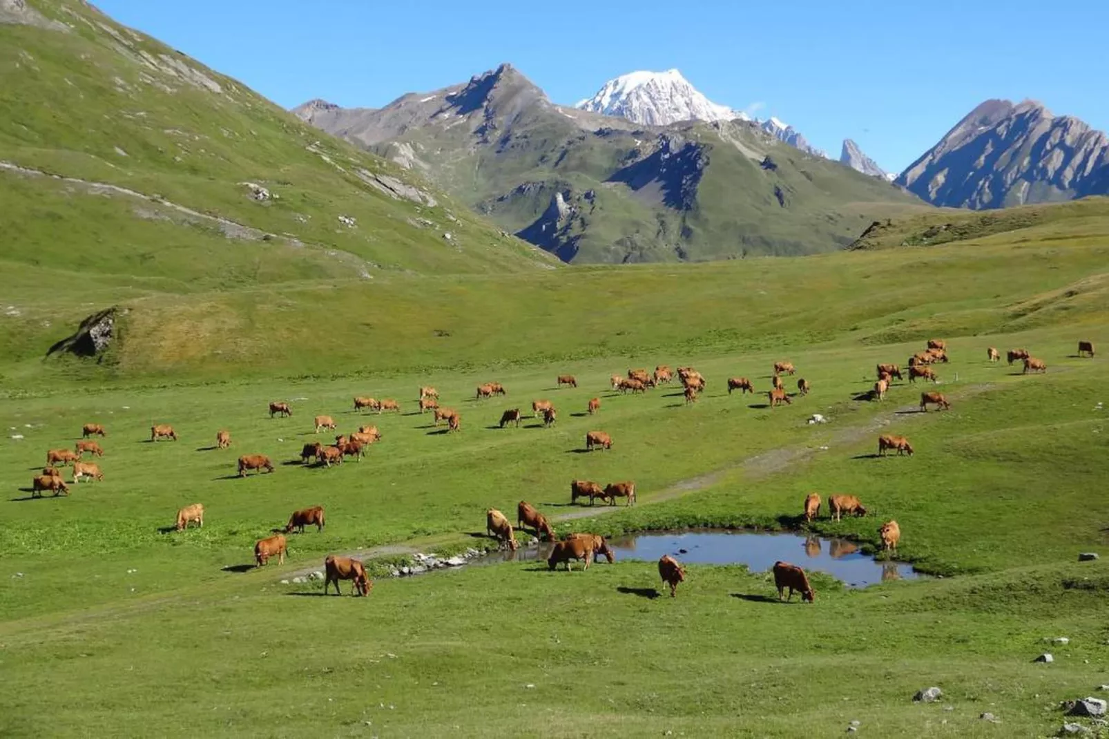 Chalet Le Refuge 3 - Gebieden zomer 20km