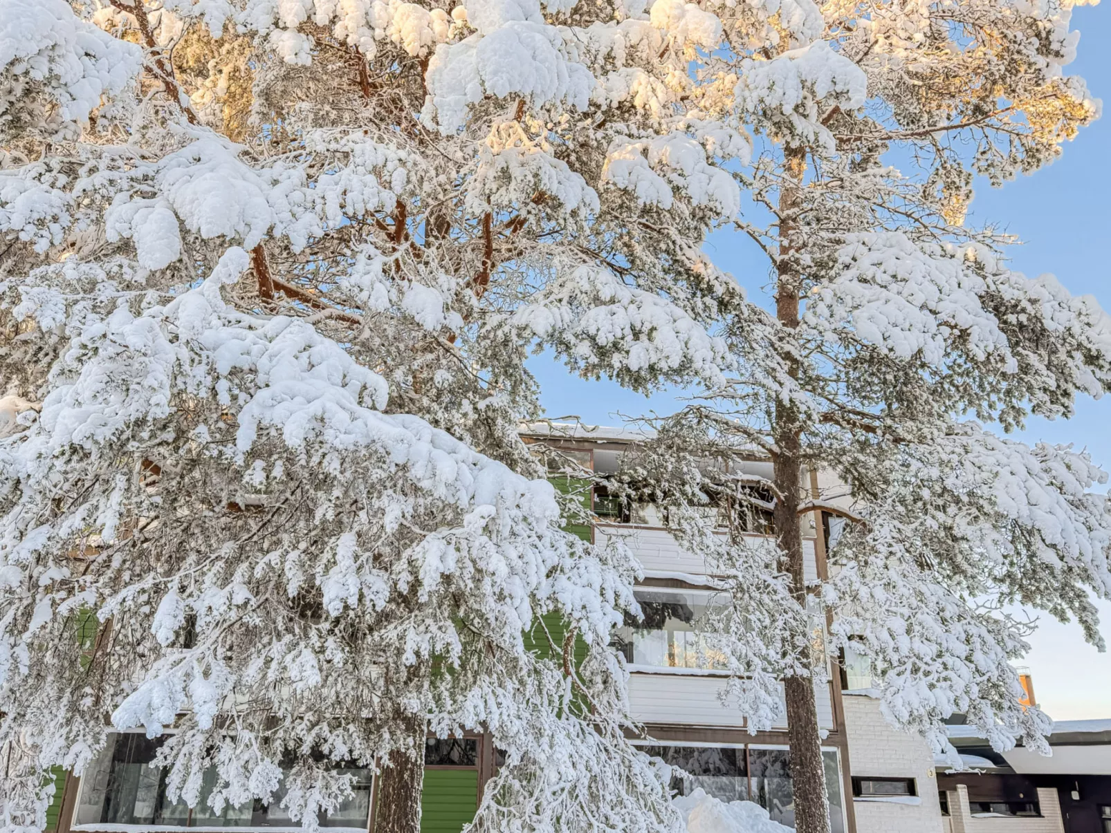 The cozy loggers suite