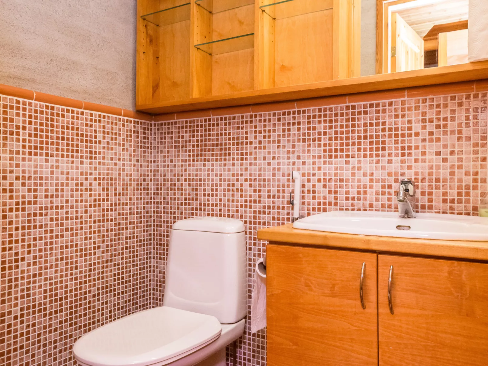 Luhtalemmikki - Binnen