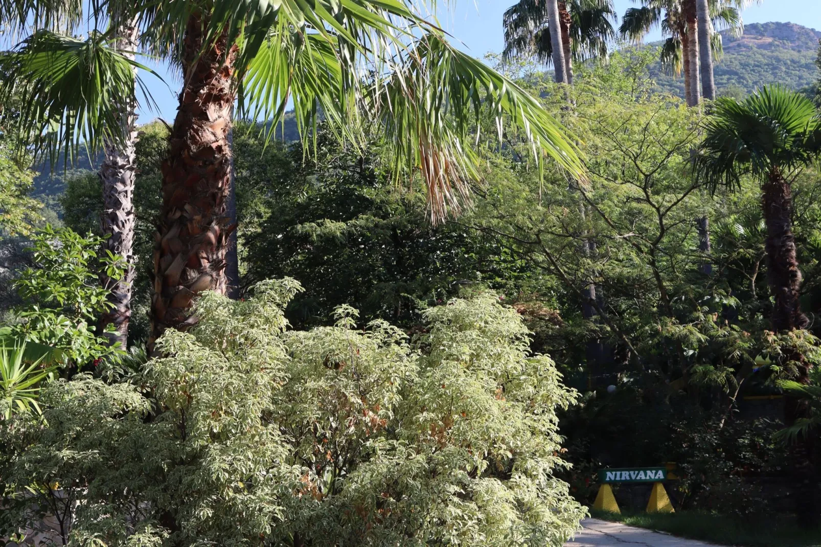 Six-bed room 1 - Buitenlucht