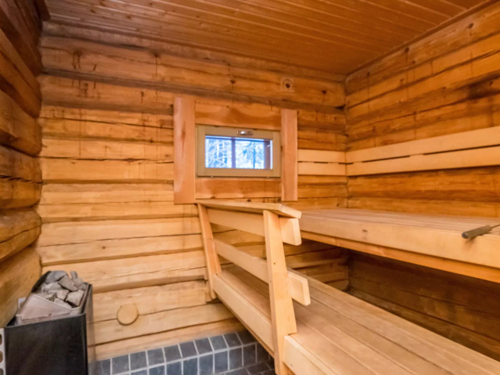 Luhtalemmikki - Binnen