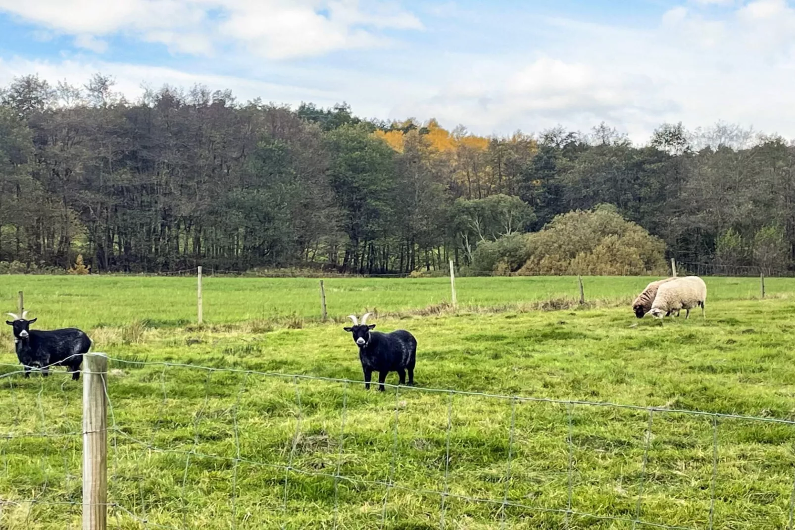 Vakantiehuis aan zee bij Gullmarsfjord - Niet-getagd