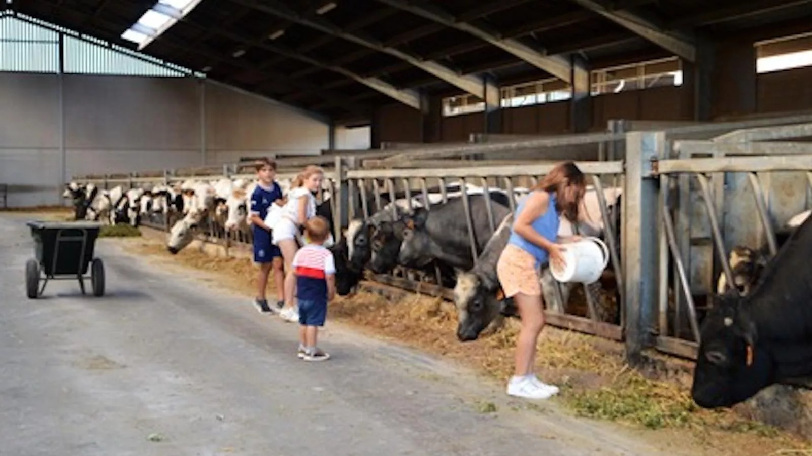 Rozenberghoeve - Gebieden zomer 1km