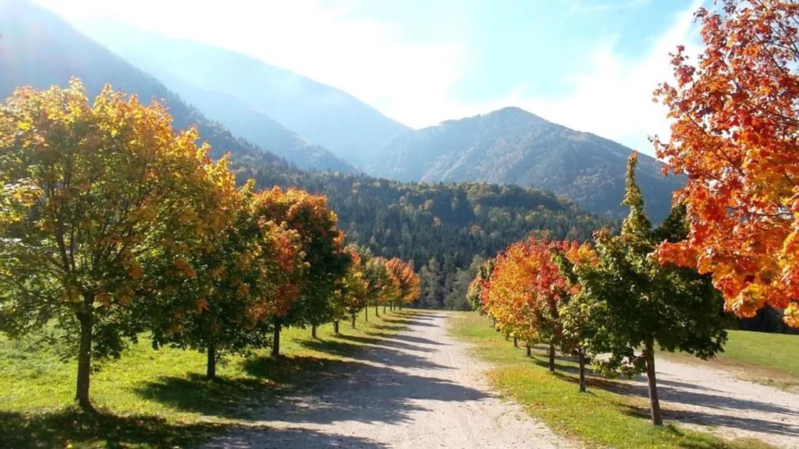 Sonnenblick - Gebieden zomer 20km