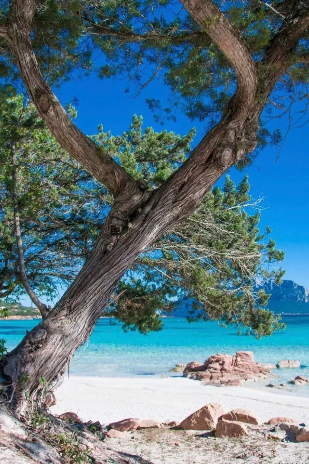 Appartamento vacanze "Am Meer" - Image-tags.info