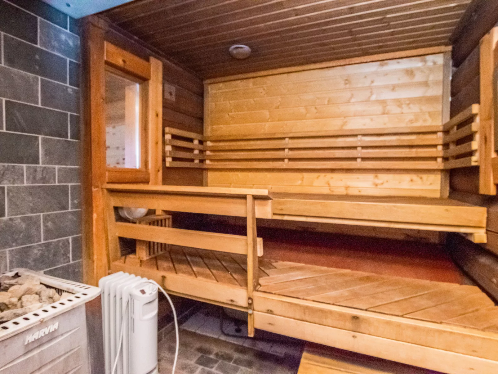 Luhtalemmikki - Binnen