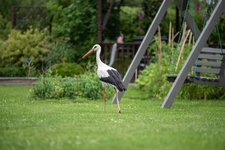 Osada Trzy Siostry domek nr 1 dla 4 osób Dąbrowa - Tuinen zomer
