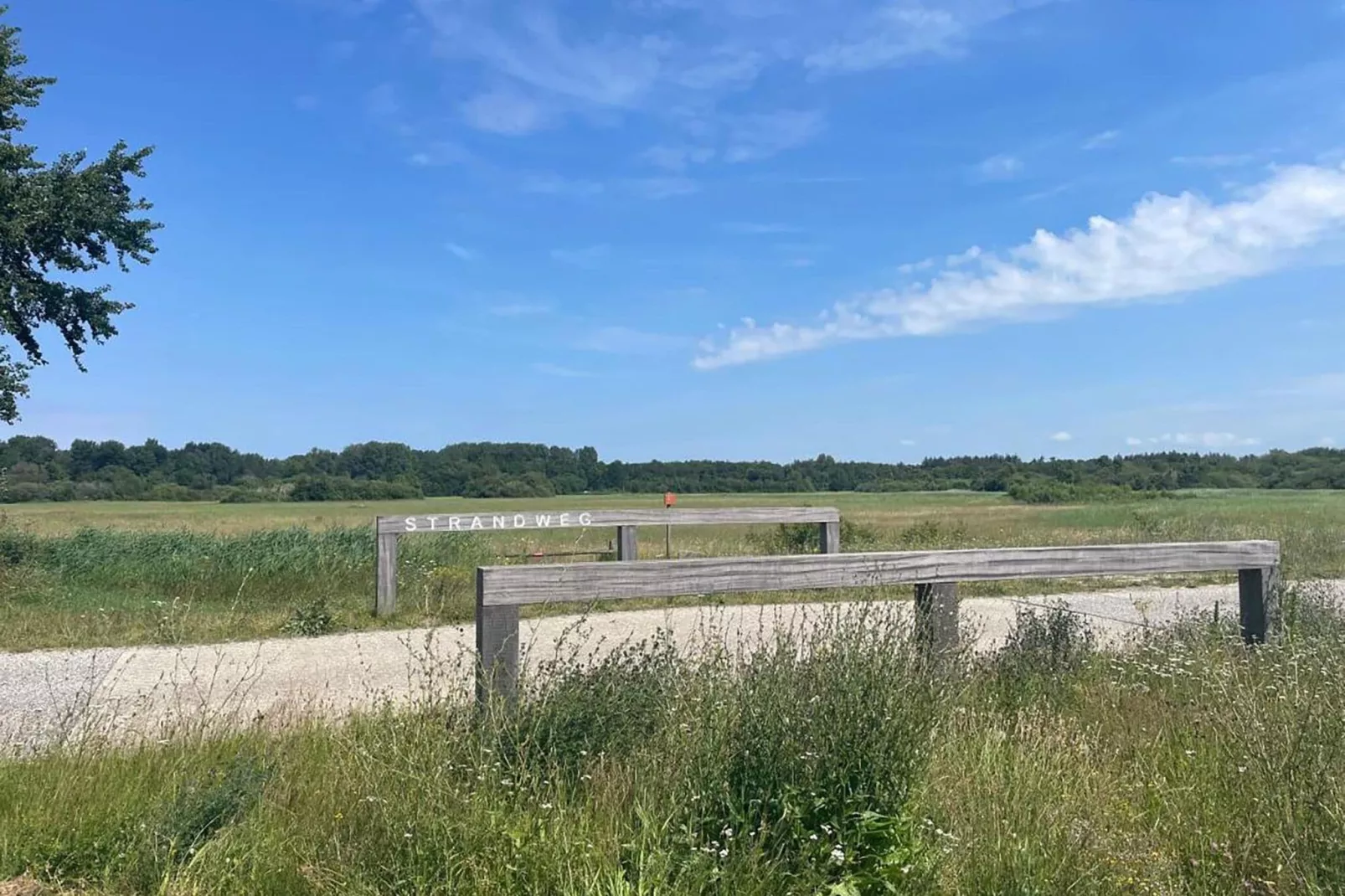 Robbenoort 50-Gebieden zomer 1km