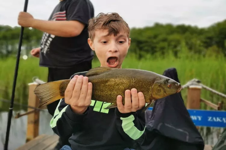 Domek JĘDREK dla max 5 osób Lubrza - Gebieden zomer 1km
