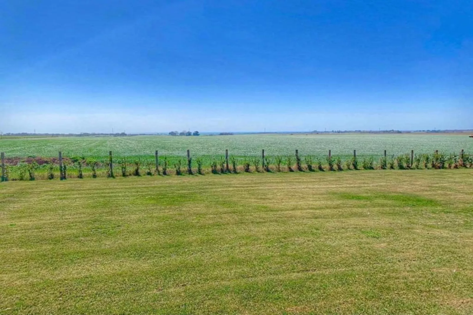 Lavanda - Gebieden zomer 20km