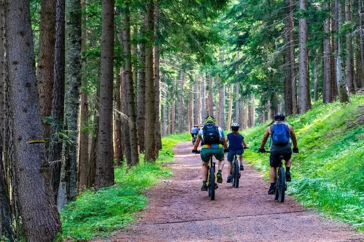 Dom wakacyjny bliźniak Wdzydze 2 - Gebieden zomer 1km