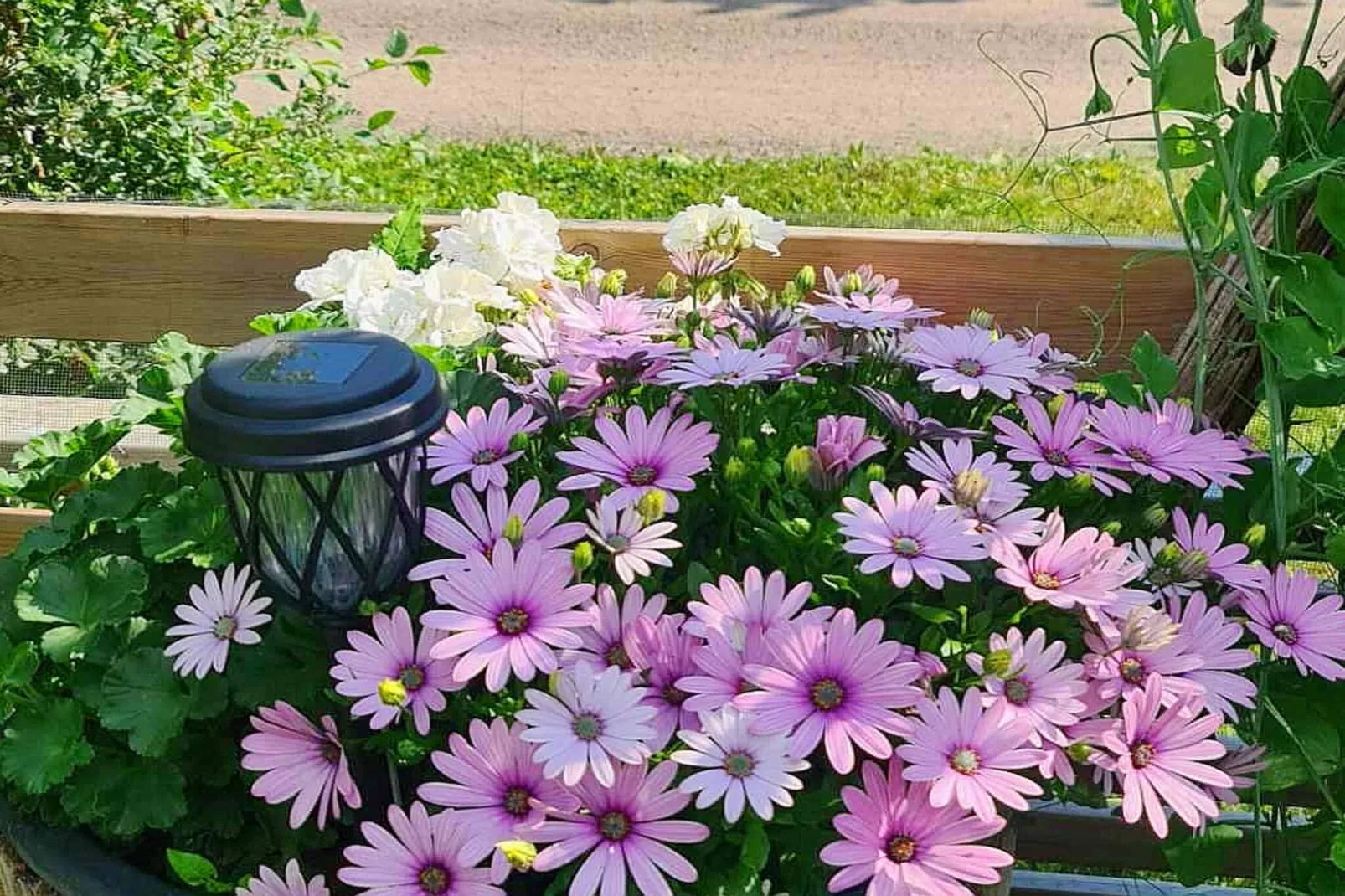 4 sterren vakantie huis in UPPSALA - Buitenlucht