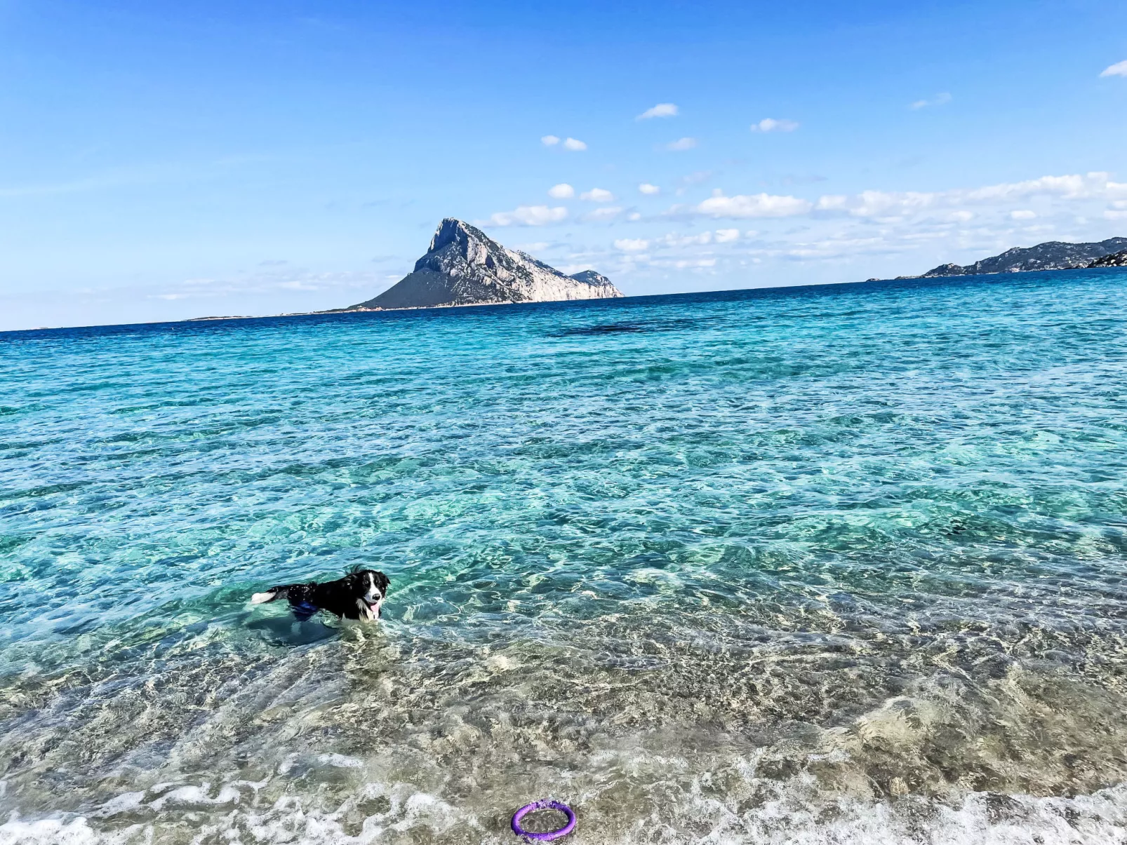 La Casetta Di Legno Nel Bosco - Buiten