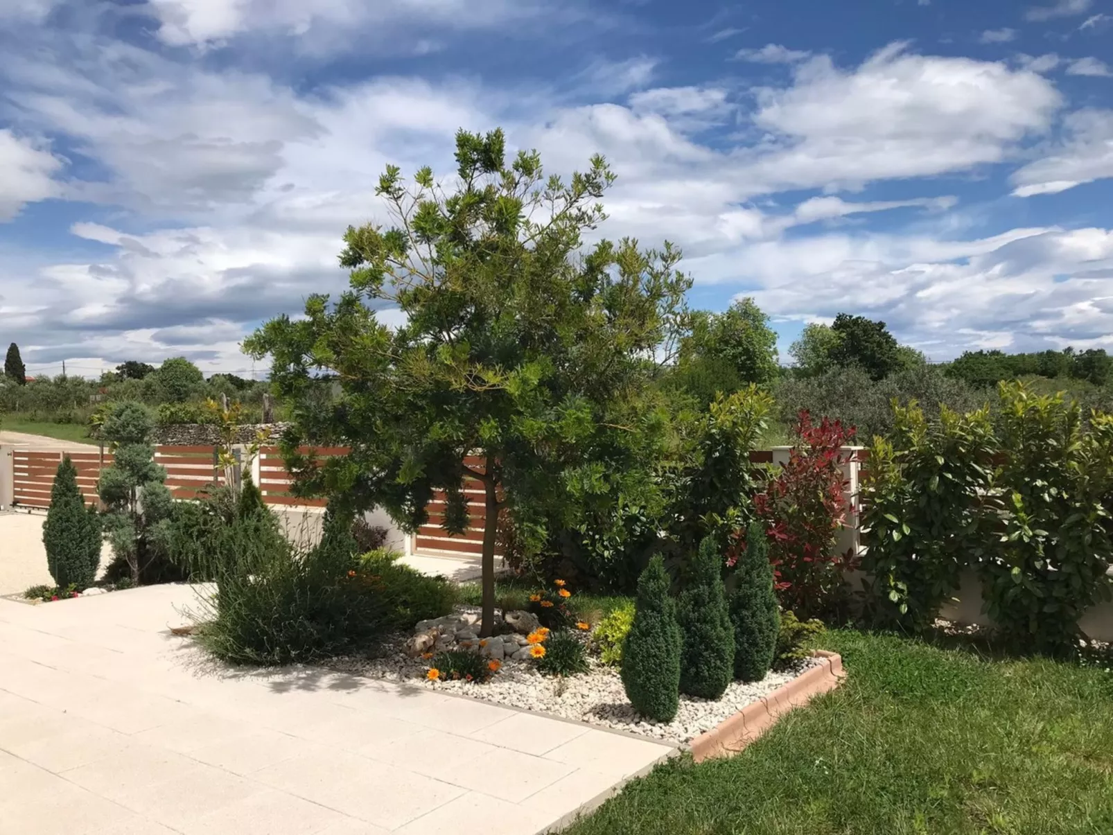 Zanna - Image-tags.info