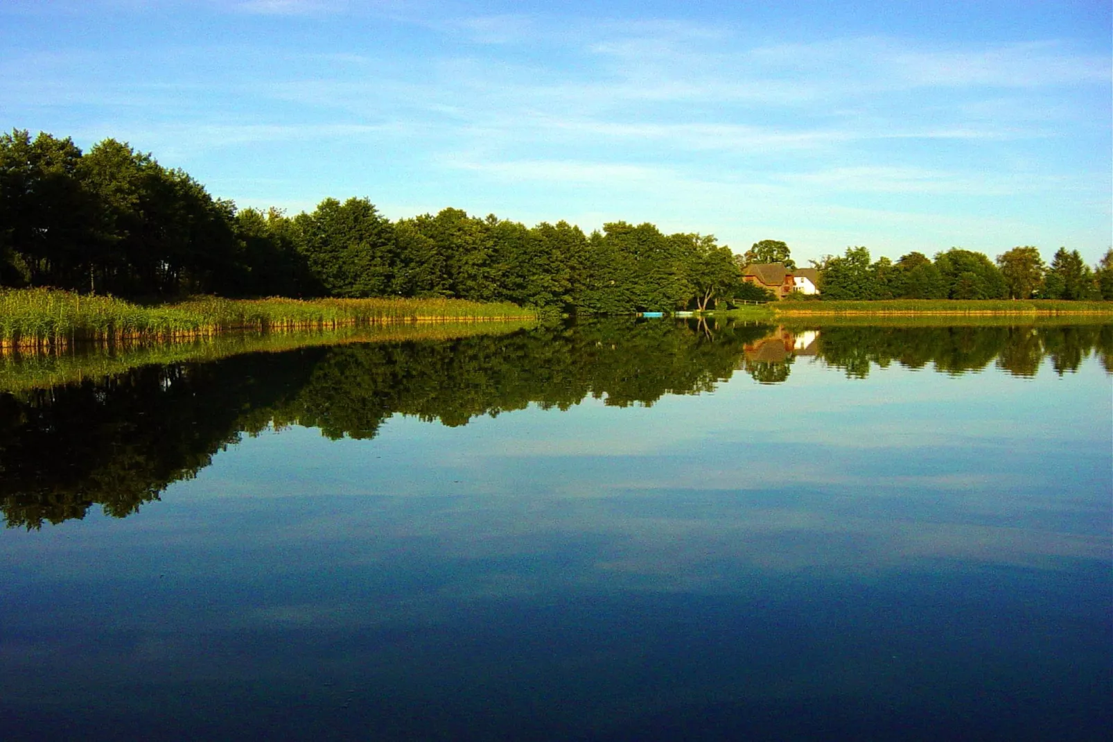 Mobilheim mit 2 Schlafzimmern bis 4 Personen - Gebieden zomer 1km